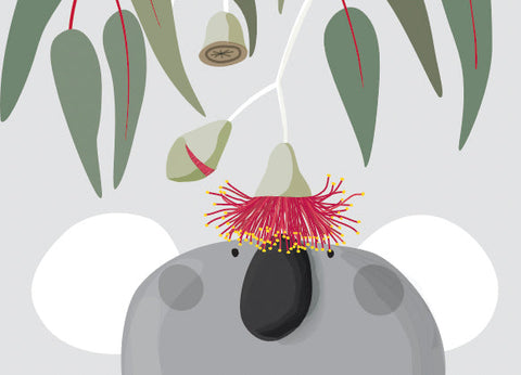 An illustration of a koala looking up at a gum tree flower. There are also gumtree leaves and gumnuts