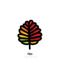 tasmanian fagus tree leaf in bold design